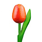 Houten tulp met tekst 34 cm in diverse kleuren