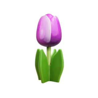 Wooden tulip on a leaf with text in various colors