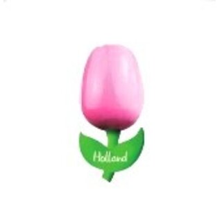 wooden tulip on a magnet with text large