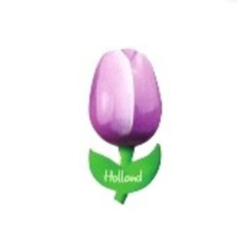 hölzerne Tulpe auf einem Magneten mit dem Text groß