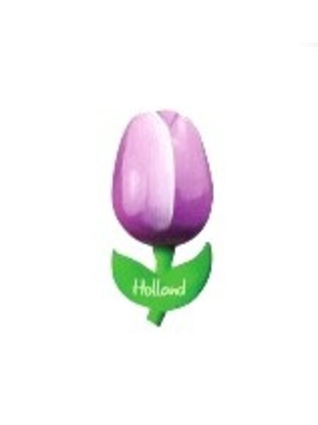 houten tulp op een  magneet met tekst groot