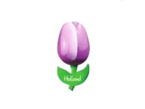 hölzerne Tulpe auf einem Magneten mit dem Text groß