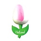 houten tulp op een  magneet met tekst groot