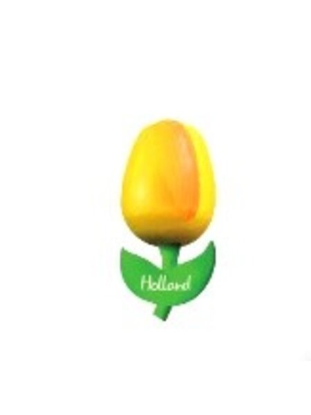 Houten tulp op een  magneet met tekst klein