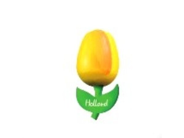 Hölzerne Tulpe auf einem Magneten mit kleinem Text