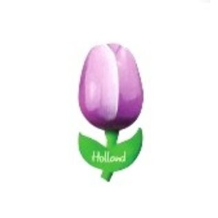 wooden tulip on a magnet with text small