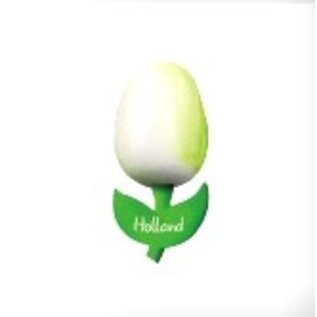 wooden tulip on a magnet with text small