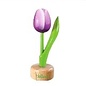 Wooden tulip on foot with text large in various colors