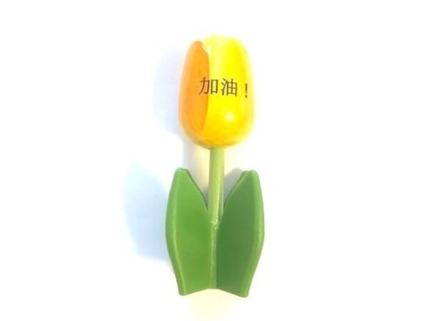 Houten tulp op een blad met tekst