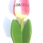 Houten tulp op een blad met tekst  in diverse kleuren