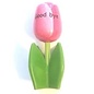 Wooden tulip on a leaf with text in various colors