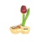  Tulpen aus Holz auf einem Clog mit Text