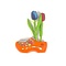  Holztulpen auf einem Clog mit Logo