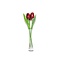  Red Wooden Tulips in Glass Vase