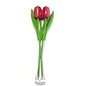 3 red - white wooden tulips in a glass vase