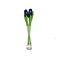  Blaue Tulpen aus Holz in Glasvase