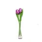 3 purple wooden tulips in a glass vase