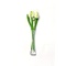  Weiße Tulpen aus Holz in Glasvase