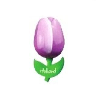 Wooden tulip with a logo on a magnet small