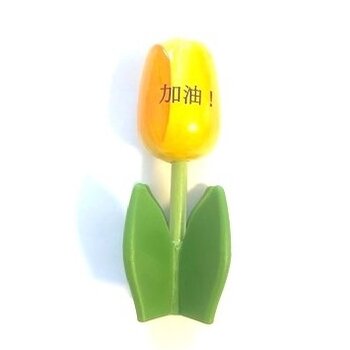 Houten tulp op een blad met logo
