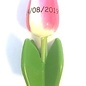 Houten tulp op een blad met logo  in diverse kleuren