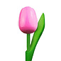 houten tulp met logo 20 cm in diverse kleuren