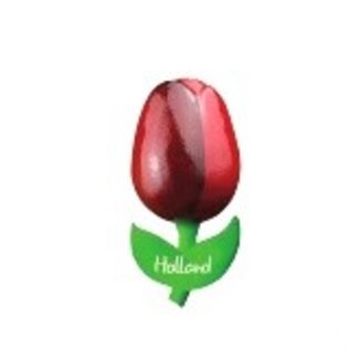 Houten tulp op een  magneet met logo groot