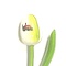  Wooden tulip with logo 34 cm