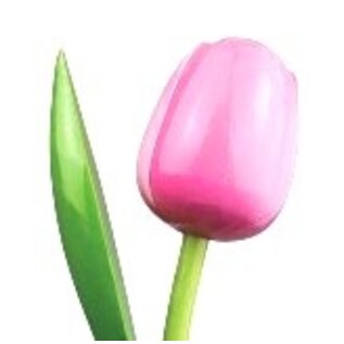 Houten tulp met logo 34 cm in diverse kleuren