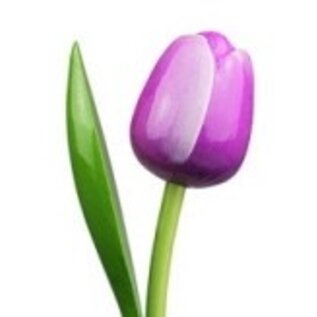 Houten tulp met logo 34 cm in diverse kleuren
