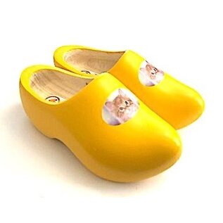 Wooden shoes with an image of your own cat