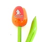 wooden tulip with logo 20 cm in various colors