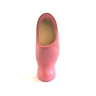 Clogs on foot in color