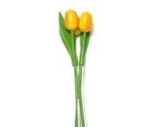 3 wooden tulips in a glass vase