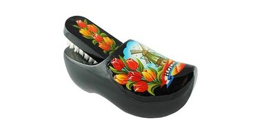 Brush clogs