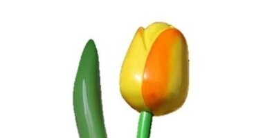 Giant tulips