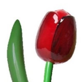 Red wooden tulip 180cm