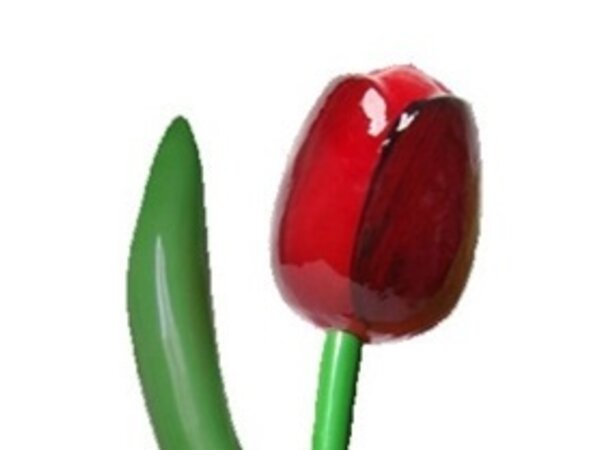 Red wooden tulip 180cm