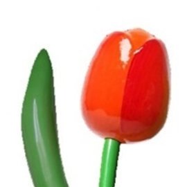 Orange wooden tulip 180cm