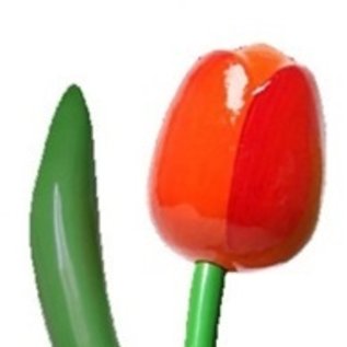 Orange wooden tulip 180cm