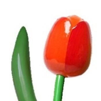 Orange wooden tulip 180cm