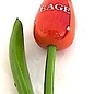 Wooden tulip with logo 34 cm in various colors