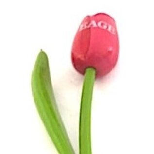 Houten tulp met logo 34 cm in diverse kleuren
