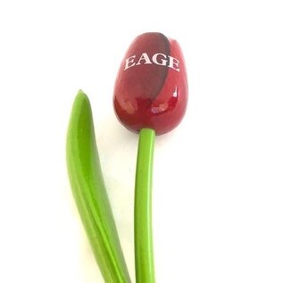 Houten tulp met logo 34 cm in diverse kleuren