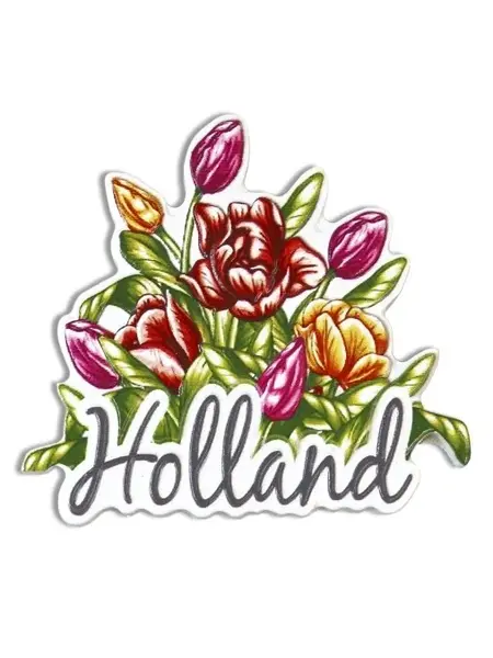 Magneet Holland tulpen