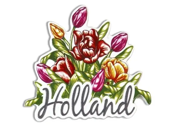 Magnet Holland Tulpen