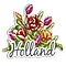  Magnet Holland tulips