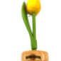 wooden tulip with logo on base in various colors