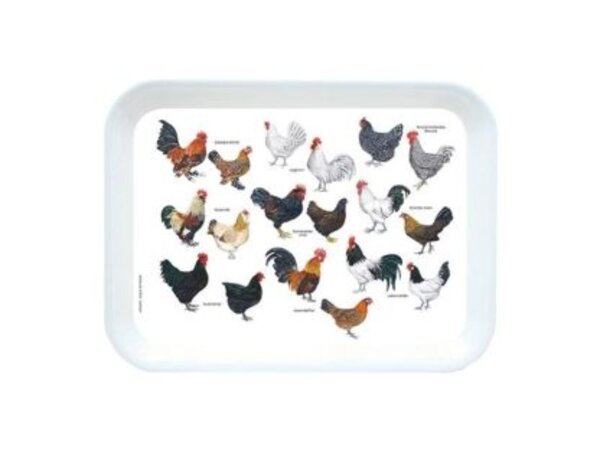 Tray with chicken