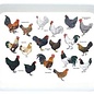 Tray with pictures of chickens